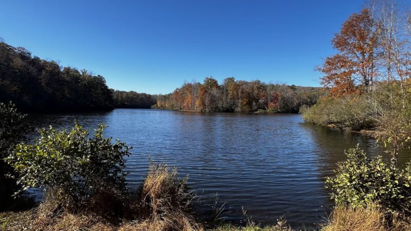 Walnut Creek Park - North Garden, VA