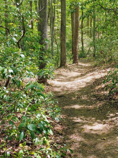 Walnut Creek Park - North Garden, VA