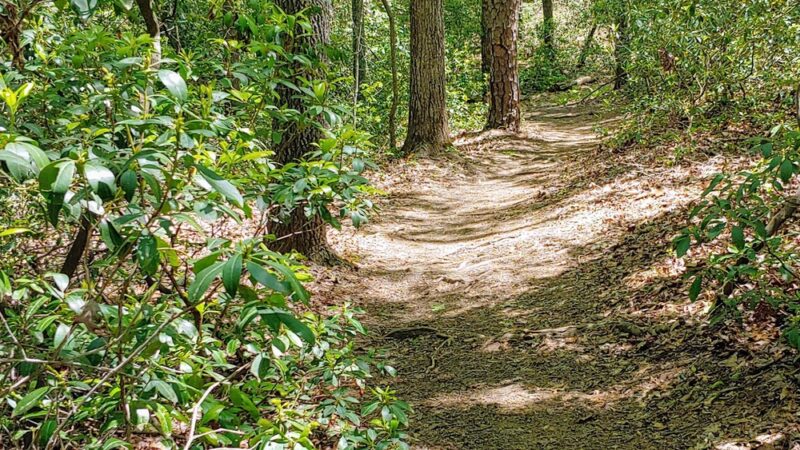 Walnut Creek Park - North Garden, VA