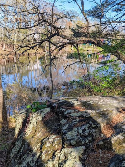 Gummere Woods And Marsters Preserve Trail - North Grafton, MA