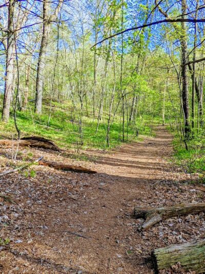 Gummere Woods And Marsters Preserve Trail - North Grafton, MA
