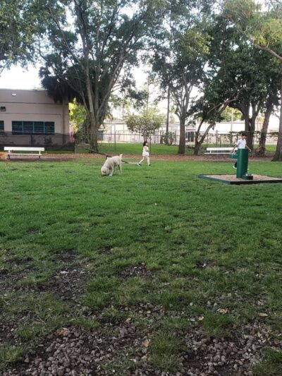 Woodville Dog Park - North Lauderdale, FL
