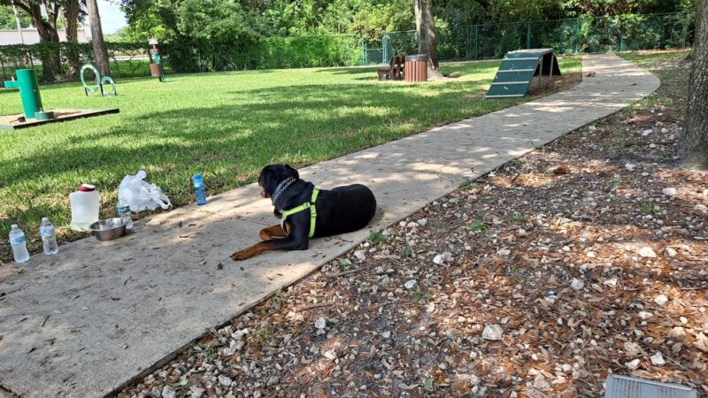 Woodville Dog Park - North Lauderdale, FL
