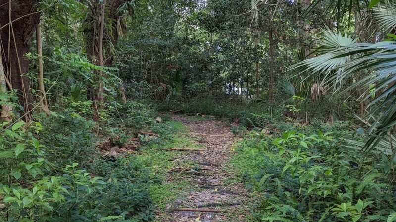 Arch Creek Park - North Miami Beach, FL