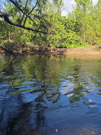 Arch Creek Park - North Miami Beach, FL
