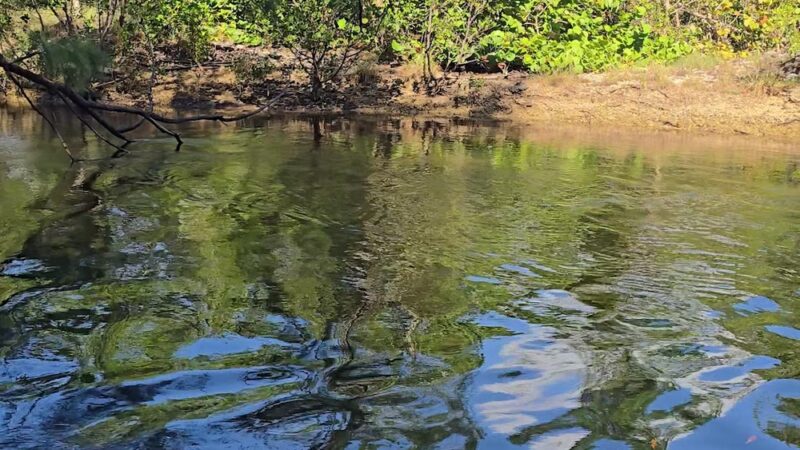Arch Creek Park - North Miami Beach, FL