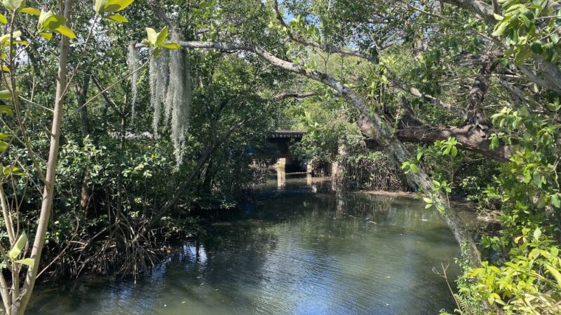 Arch Creek Park - North Miami Beach, FL