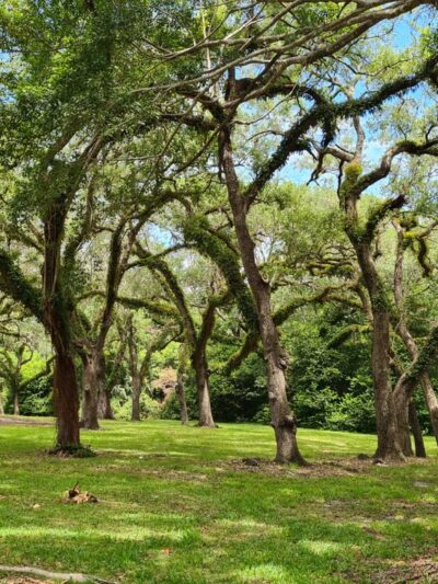 Greynolds Park - North Miami Beach, FL