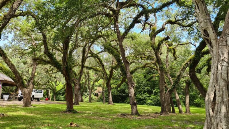 Greynolds Park - North Miami Beach, FL