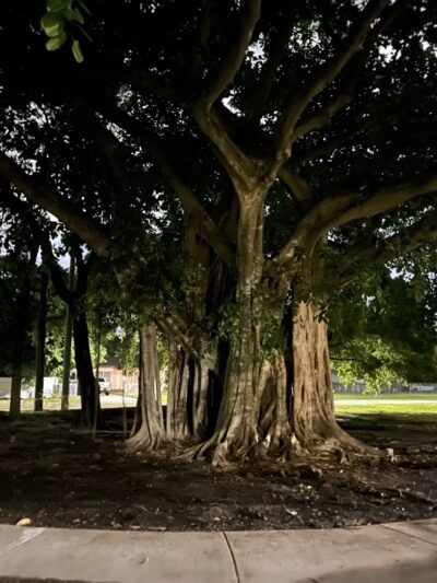 Sauls Park - North Miami Beach, FL