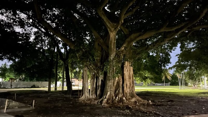 Sauls Park - North Miami Beach, FL