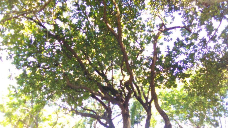 Sauls Park - North Miami Beach, FL