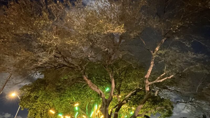 Griffing Park - North Miami, FL