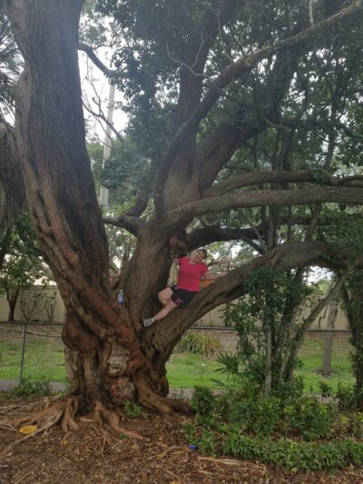 Alfred Besade Park - North Miami, FL