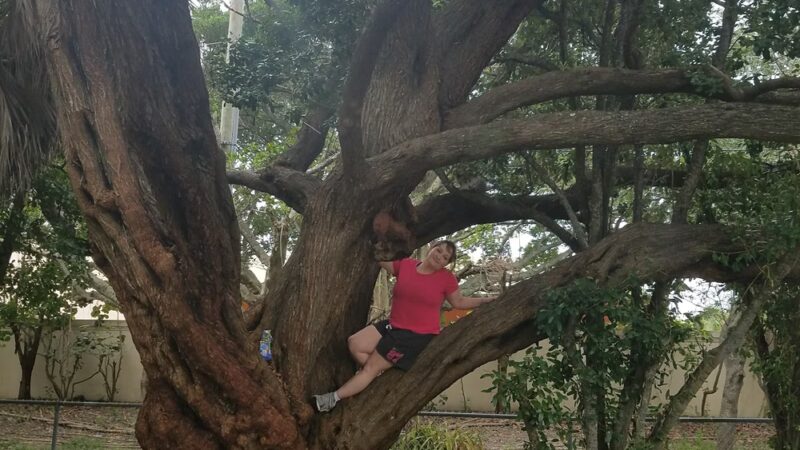 Alfred Besade Park - North Miami, FL