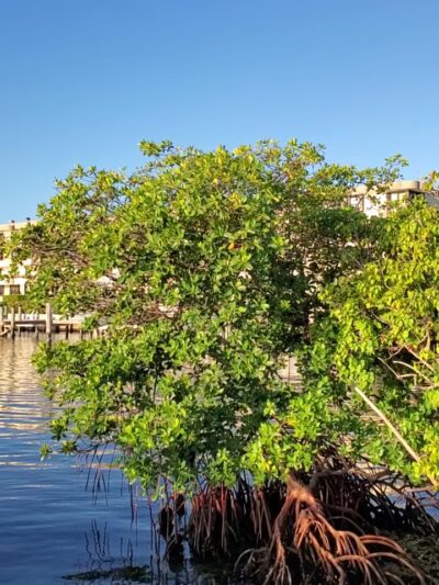 North Bayshore Park - North Miami, FL
