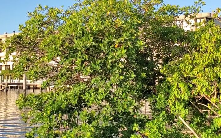 North Bayshore Park - North Miami, FL