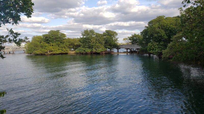 North Bayshore Park - North Miami, FL