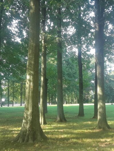 Green Acres Park - North Plainfield, NJ