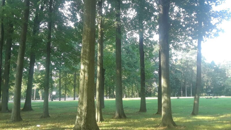 Green Acres Park - North Plainfield, NJ