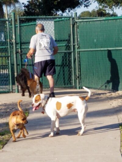 Canine Club Dog Park - North Port, FL