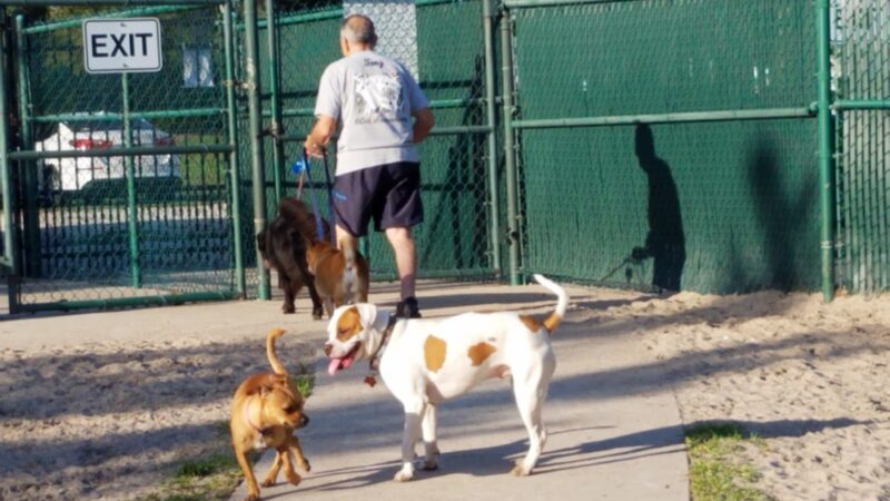 Canine Club Dog Park - North Port, FL