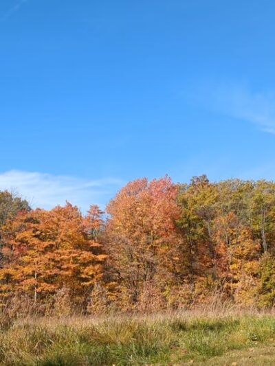 McCloud Nature Park - North Salem, IN