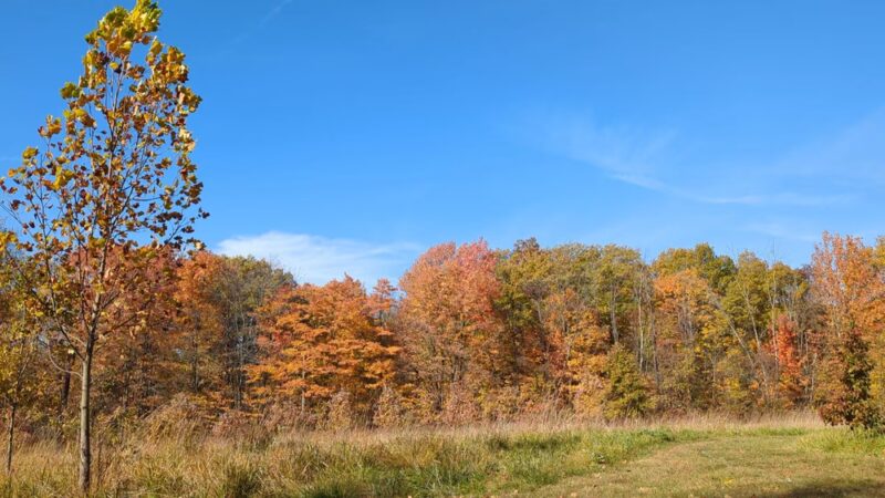 McCloud Nature Park - North Salem, IN