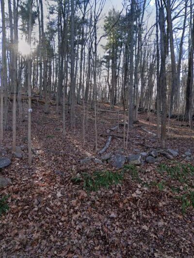 Bloomerside Preserve - North Salem, NY