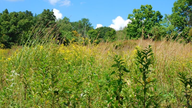 Gaymark Preserve - North Salem, NY