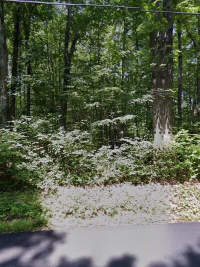 Gaymark Preserve - North Salem, NY