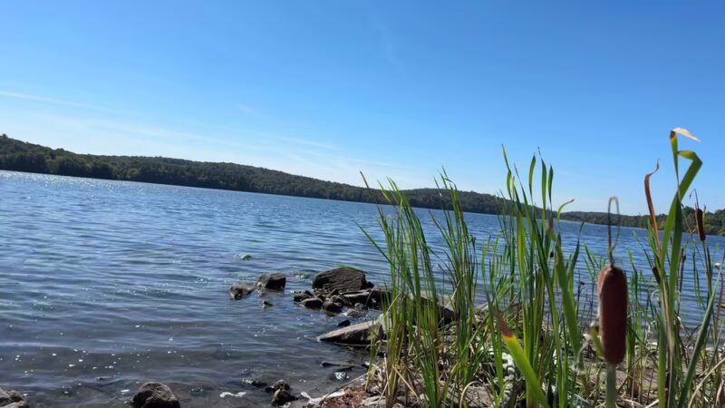 Titicus Reservoir Fishing Area - North Salem, NY