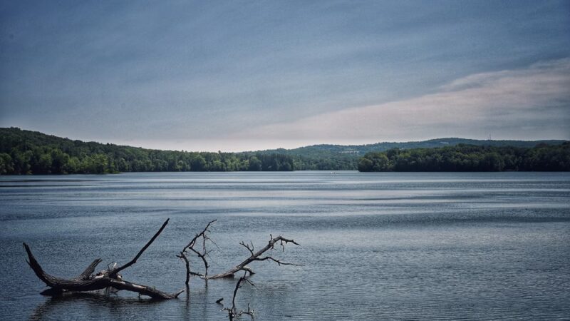 Titicus Reservoir Fishing Area - North Salem, NY