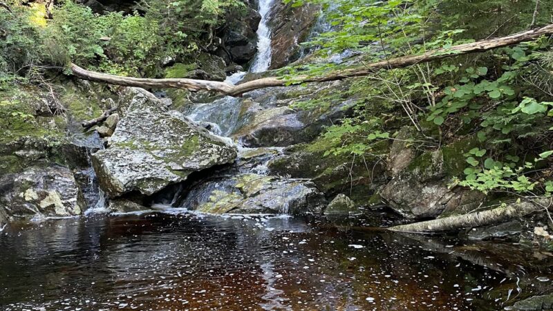 Sandwich Mountain Trailhead - North Sandwich, NH