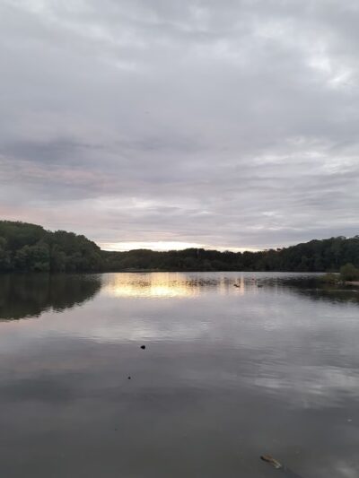 Lake Accotink Pavilion - North Springfield, VA