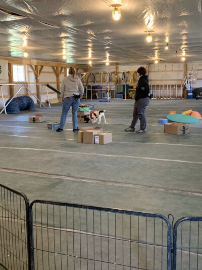 North Star Canine Training & Sports Gear - ,