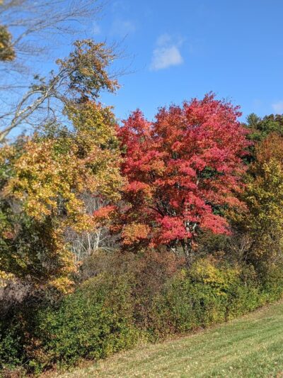 Carney Park Northborough - Northborough, MA