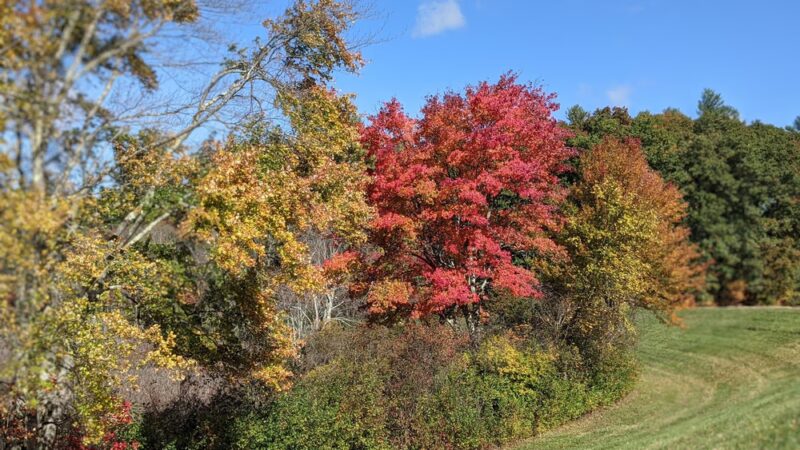 Carney Park Northborough - Northborough, MA