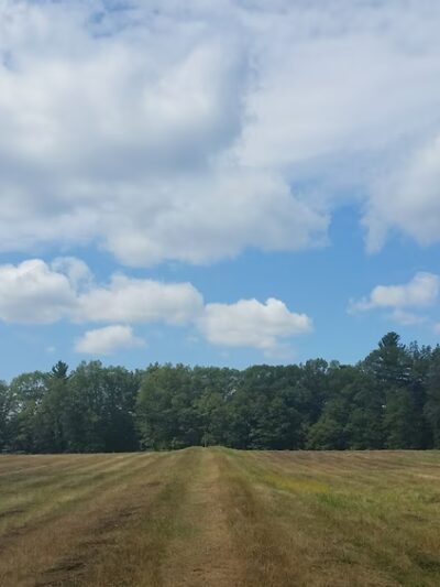Carney Park Northborough - Northborough, MA