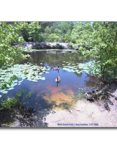 Birch Grove Park - Northfield, NJ