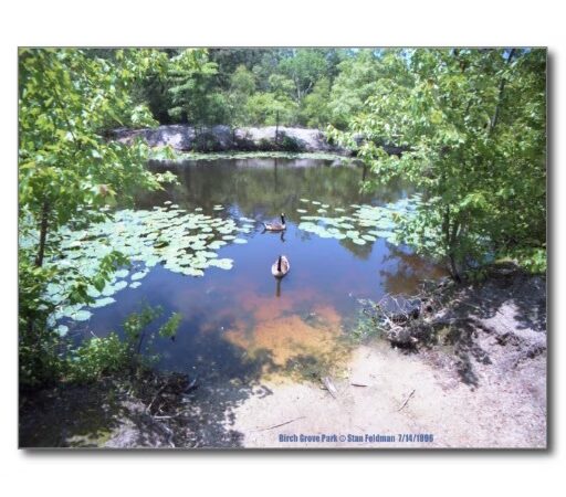 Birch Grove Park - Northfield, NJ