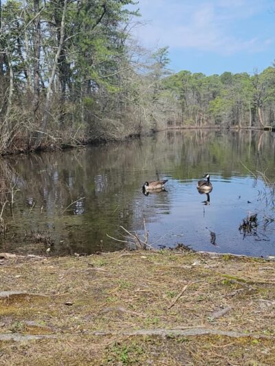 Birch Grove Park - Northfield, NJ