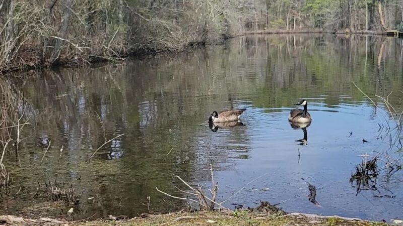 Birch Grove Park - Northfield, NJ