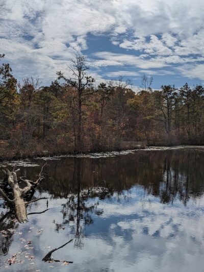 Birch Grove Park - Northfield, NJ