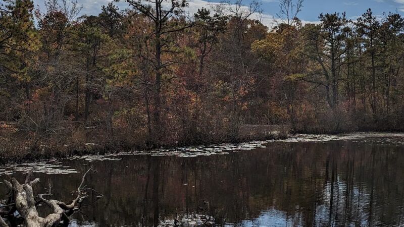 Birch Grove Park - Northfield, NJ