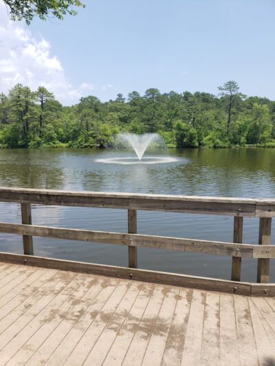 Birch Grove Park - Northfield, NJ