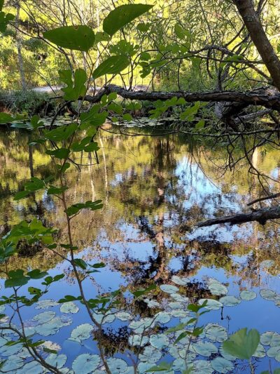 Northfield Veterans Park - Northfield, NJ