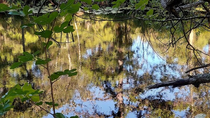 Northfield Veterans Park - Northfield, NJ