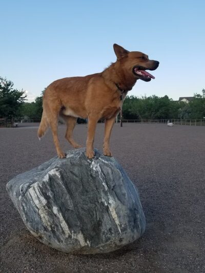 Jaycee Park - Northglenn, CO