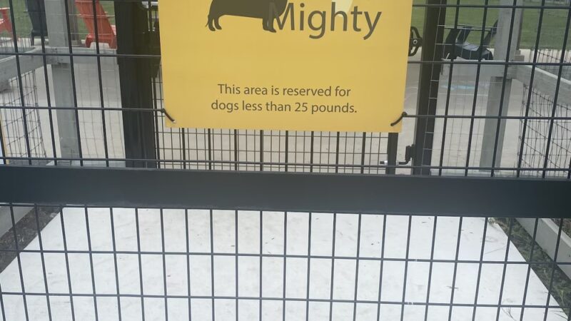 Harvest Bark Park - Small Dogs - Northlake, TX